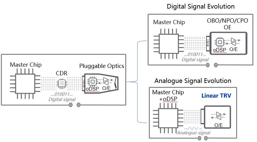 Linear Drive Pluggable Optics Lpo Modules Market Size Projections
